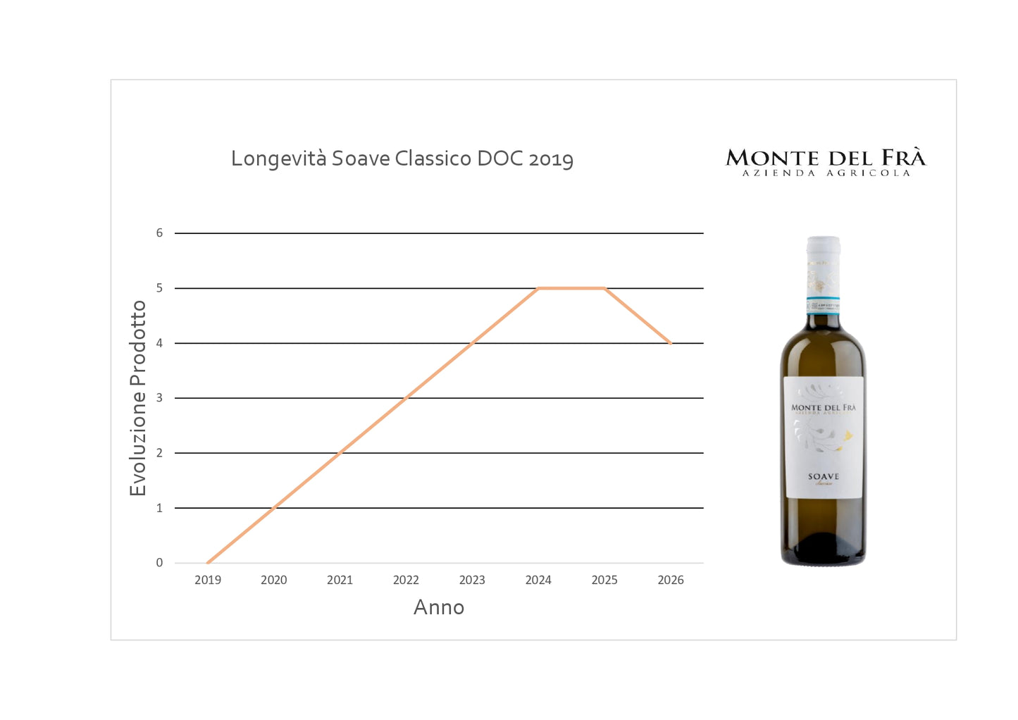 Wine Box - Soave Classico DOC (6 Bottles) - MyA.Zone
