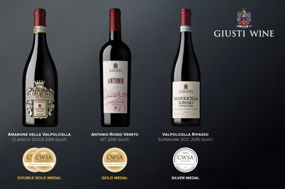 Wine Box - Amarone della Valpolicella Classico DOCG (6 bottles) - MyA.Zone