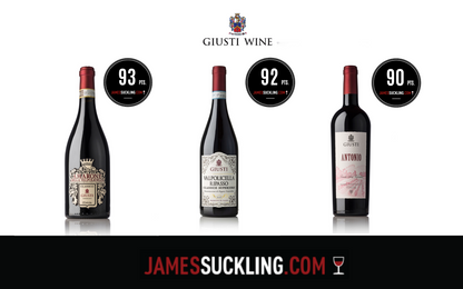 Wine Box - Valpolicella Ripasso Superiore D.O.C (6 Bottles) - MyA.Zone