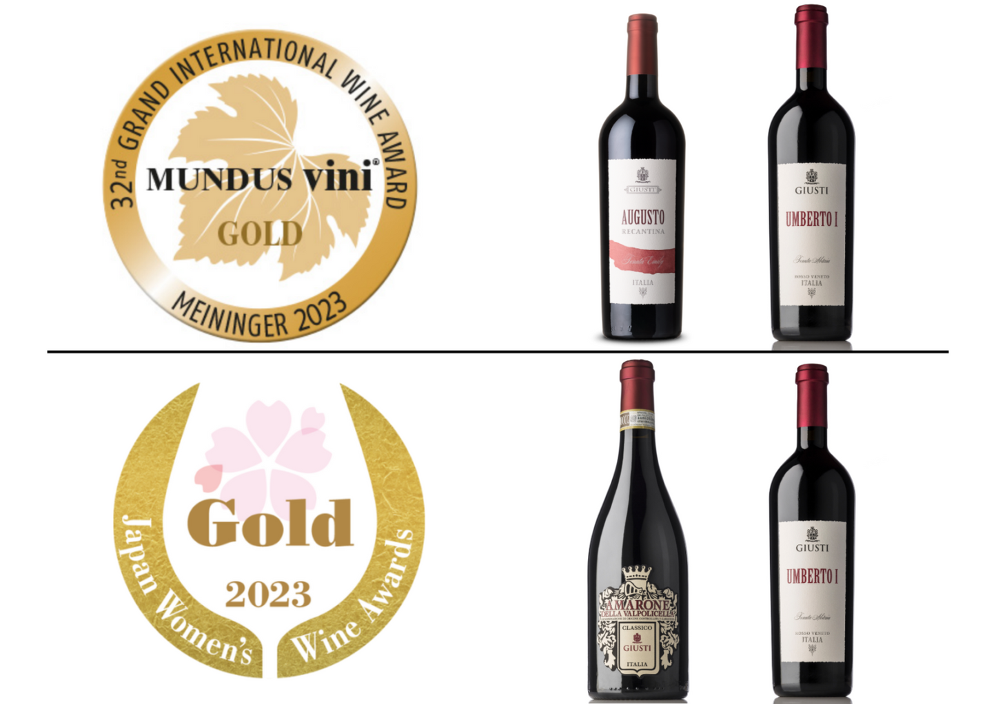 Amarone della Valpolicella Classico DOCG - MyA.Zone