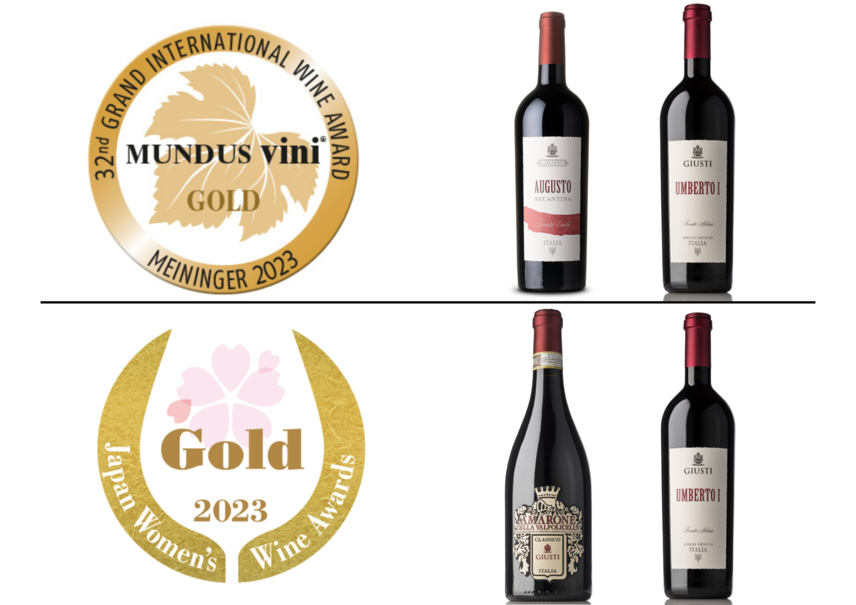 Amarone della Valpolicella Classico DOCG - MyA.Zone