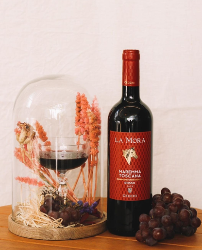Wine Box - La Mora Maremma Toscana DOC Rosso Cecchi (6 Bottles) - MyA.Zone